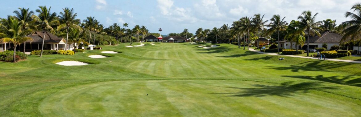 Golf View 2026 en Punta Cana: Deporte y Networking