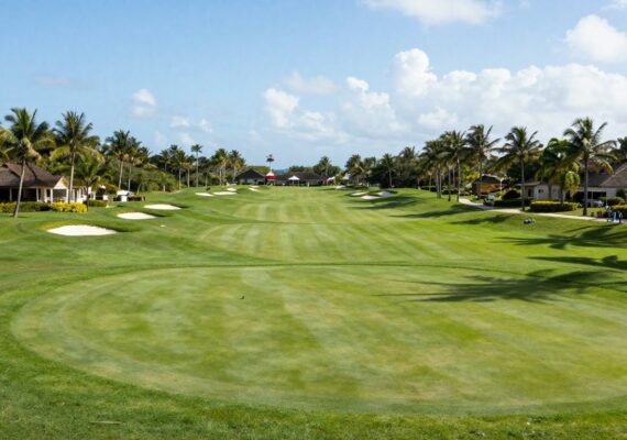 Golf View 2026 en Punta Cana: Deporte y Networking
